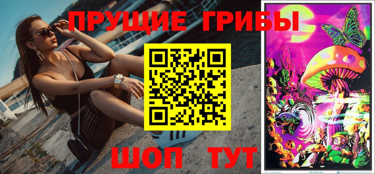 Королёв  Псилоцибиновые грибы ЛСД  Вход с VPN  Псилоцибиновые грибы Psilocybine cubensis 
